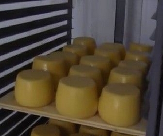 Идеи для малого бизнеса вариант - изготовление сырных продуктов